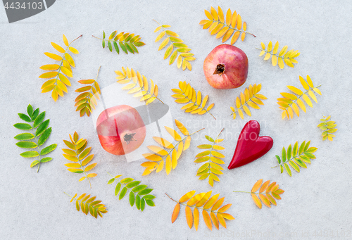 Image of Pomegranates and golden ashberry tree leaves