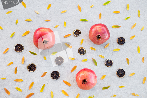 Image of Autumn fruits and colorful ashberry tree leaves