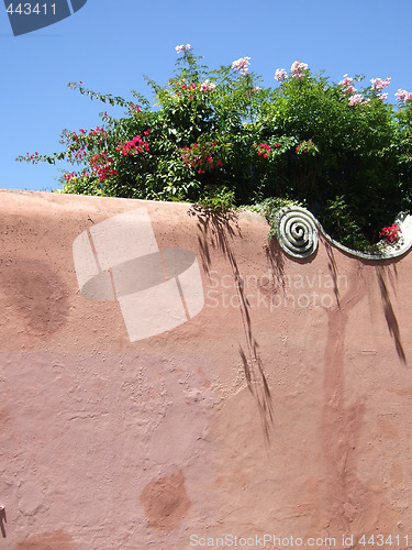 Image of Wall with flowers