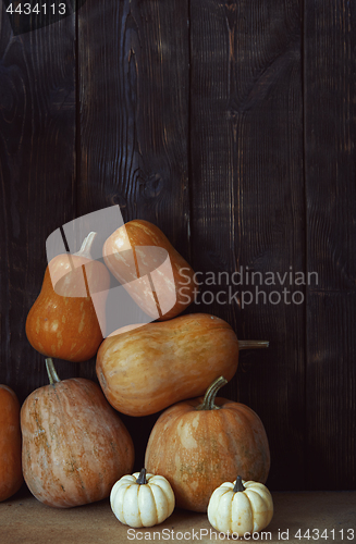 Image of Stack of pumpkins after harvesting