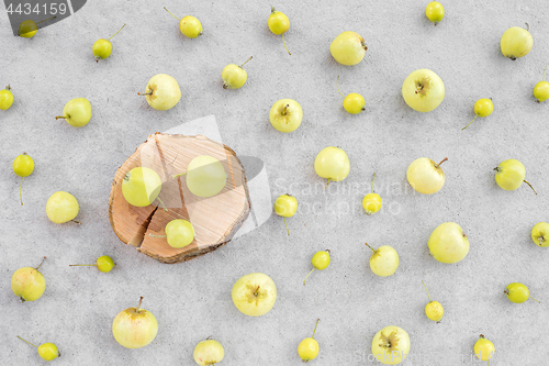 Image of Wild apples and apple tree stump on concrete background