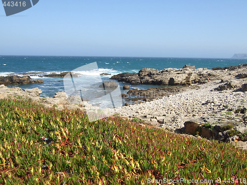 Image of Coastal landscape