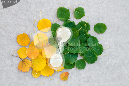 Image of Sand clock on summer and autumn leaves