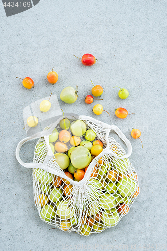 Image of Apples from the garden in a cotton mesh bag