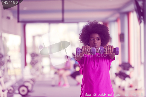 Image of woman working out in a crossfit gym with dumbbells