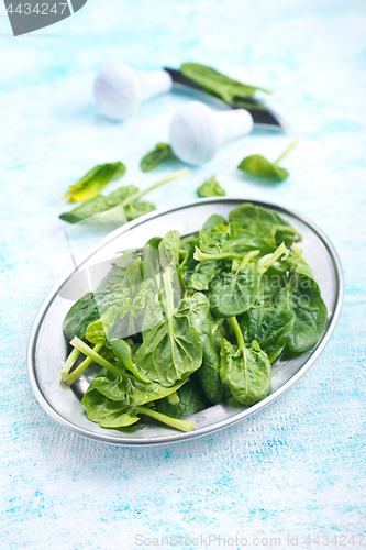 Image of spinach