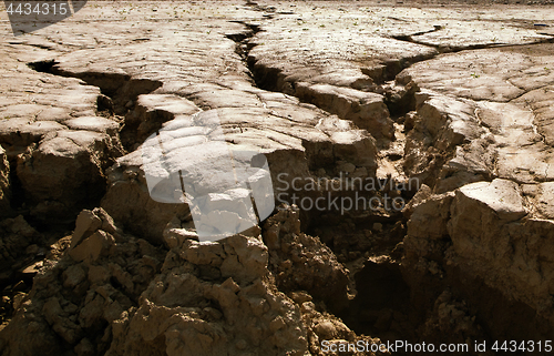 Image of Cracked earth close-up