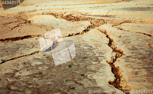 Image of Cracked earth close-up