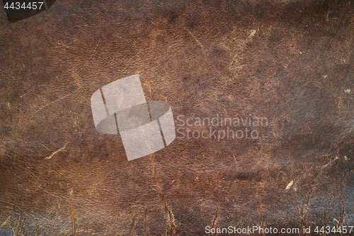 Image of Brown leather texture