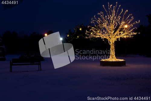 Image of Gold lights Christmas Tree