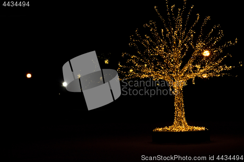 Image of Gold lights Christmas Tree