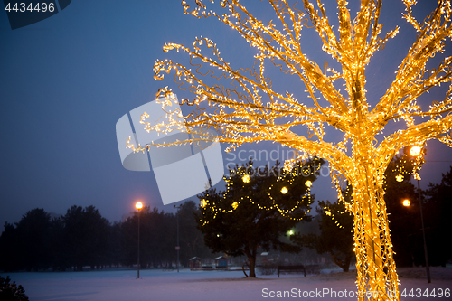 Image of Gold lights Christmas Tree