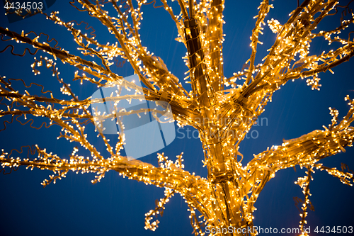 Image of Gold lights Christmas Tree