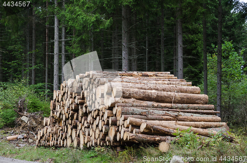 Image of Logs in a woodpile