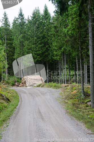 Image of Wood pile by gravel roadside