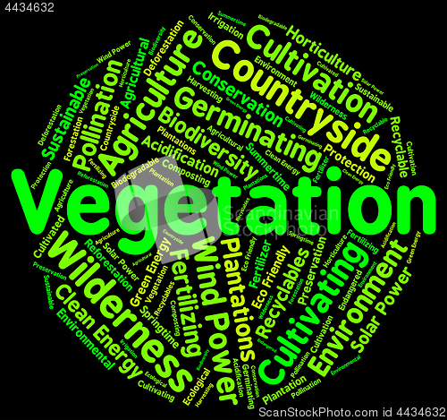 Image of Vegetation Word Indicates Plant Life And Botany
