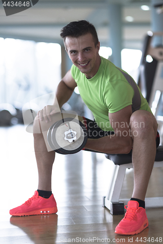 Image of handsome man working out with dumbbells