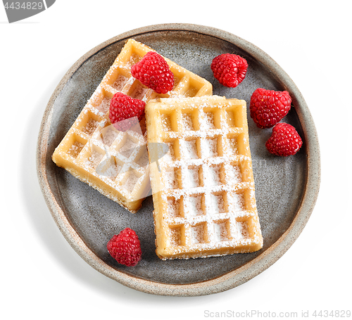 Image of two waffles on ceramic plate