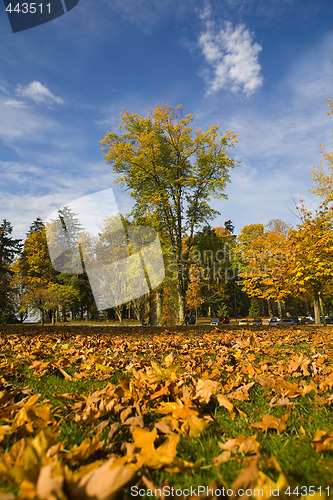 Image of fall scene