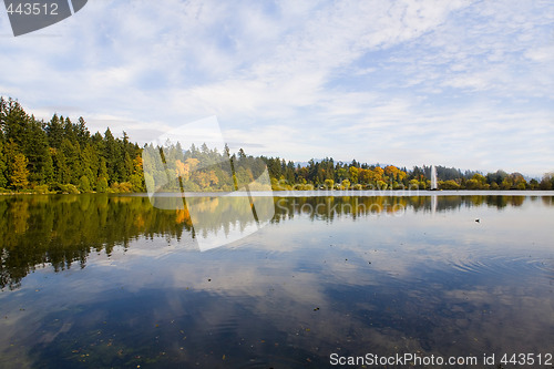 Image of fall scene