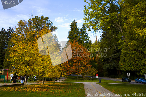 Image of fall scene