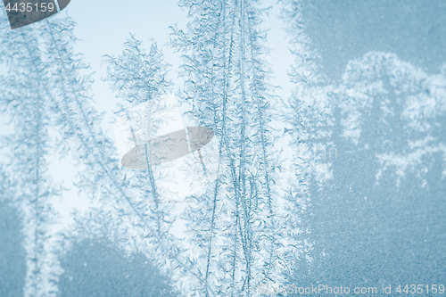 Image of Frosty patterns on a window in a cyan tone