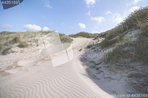 Image of Sand dune shaped by the wind