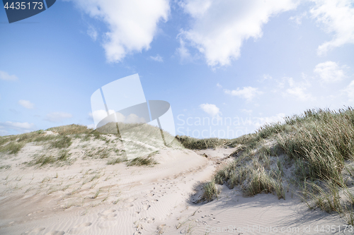 Image of Beach dunes on a Scandinavian beach in the summer