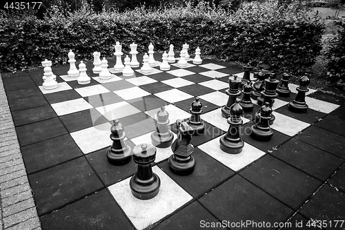 Image of Chess game with large pieces