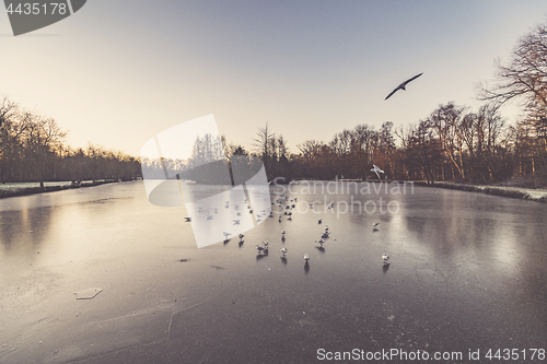 Image of Winter landscape with a beautiful sunrise