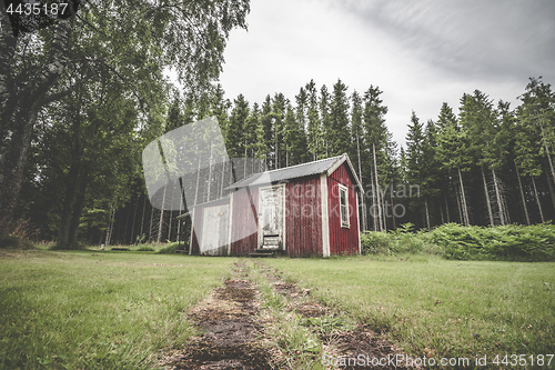 Image of Red cabin in a swedish forest with pine trees