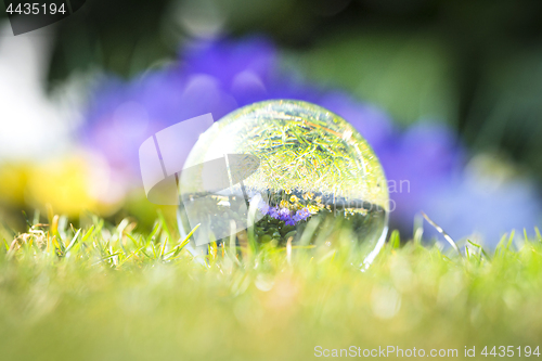 Image of Large droplet on green grass with a reflection