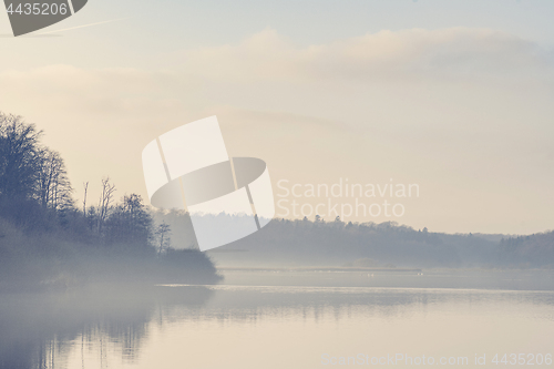 Image of Lake scenery with morning fog and silent water