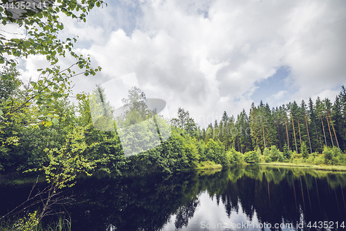 Image of Dark lake in a forest with green trees reflecting