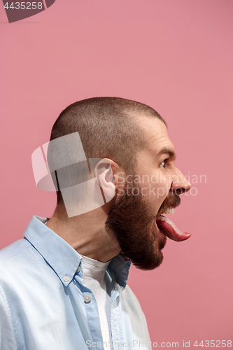 Image of The young emotional angry, crazy man on pink studio background