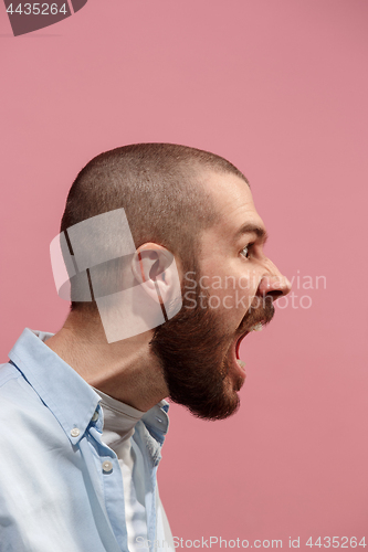 Image of The young emotional angry man screaming on pink studio background