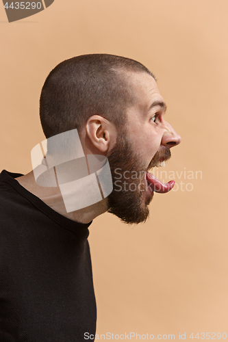 Image of The young emotional angry, crazy man on pastel studio background