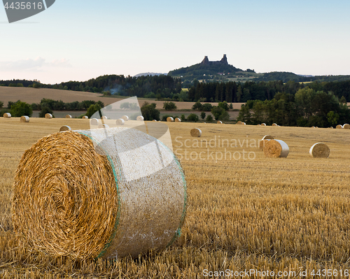 Image of Summer landscape with field and Trosky Castle, Czech Republic