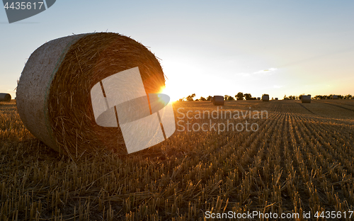 Image of Straw packs in a field in the evening