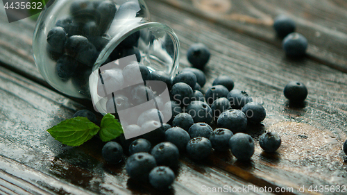 Image of Blueberry scattering out of jug 