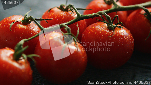 Image of Ripe cherry tomatoes with drops on branch 