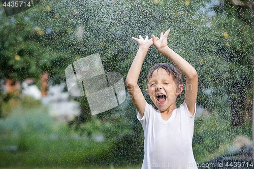 Image of Happy little boy pouring water from a hose.