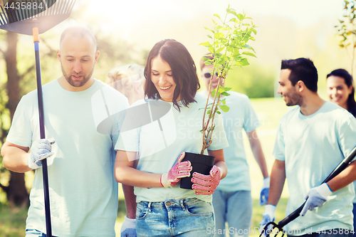 Image of group of volunteers with trees and rake in park