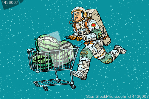 Image of Astronaut buys watermelons. shopping cart trolley sale