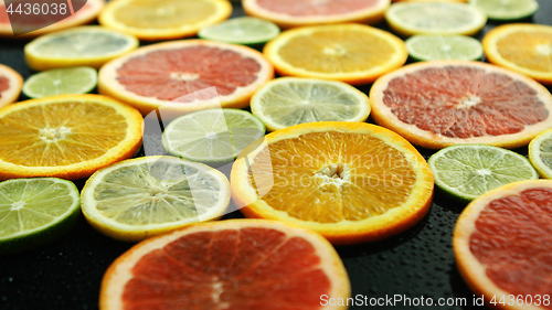Image of Slices of citruses on dark table 