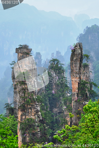 Image of Zhangjiajie mountains, China