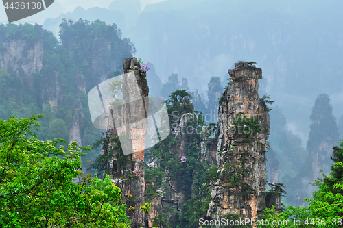 Image of Zhangjiajie mountains, China