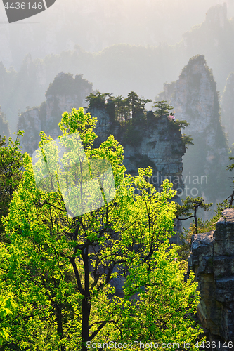 Image of Zhangjiajie mountains, China