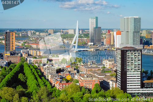 Image of View of Rotterdam city and the Erasmus bridge