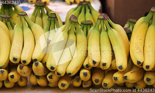 Image of Bananas